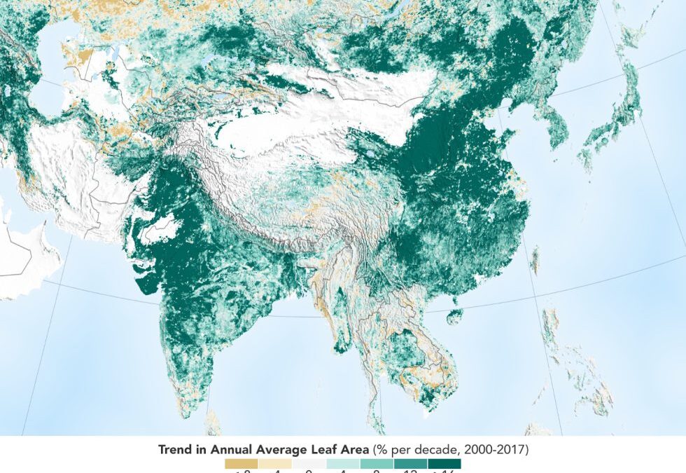 L’attività umana in Cina e India determina l’inverdimento della Terra, secondo uno studio della NASA